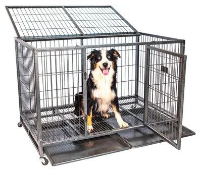 Hundebox 123x79x84 cm, faltbar, 2 Türen, Rollen, herausnehmbare Wanne