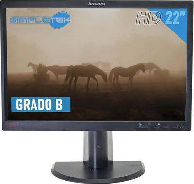 Image de Ecran PC Pro 22" Lenovo ThinkVision L2250pwD 45J8741 LCD VGA DVI-D 1680x1050