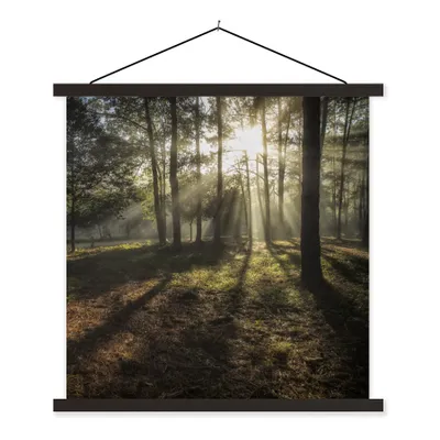 Obrázok produktu pre MuchoWow® Textilný plagát - Les - slnko - hmla - 120x120cm - S čiernymi lamelami