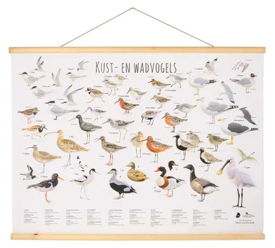 Productafbeelding van - Vogelbescherming Nederland