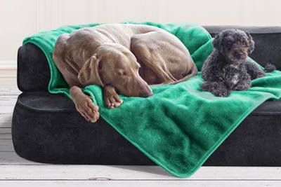 Produktbild von tierlando® Hundedecke LILLY Flauschige Haustier-, Welpen-, Katzen-, Plüschdecke - Größe: 75x50cm | Farbe: 13 Türkis