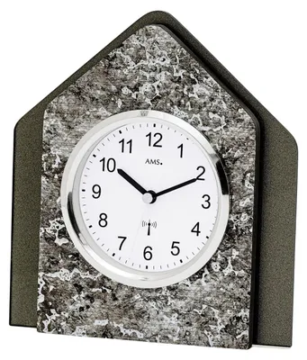 Imagen del producto de Reloj AMS modelo 5169