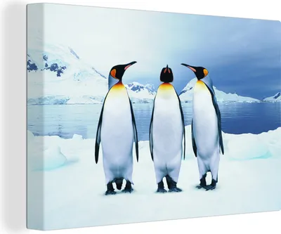 Produktbild von OneMillionCanvasses® - Leinwandbilder - 150x100 cm, Drei Pinguine Porträt, Wandbilder Kunstdruck Wanddekoration