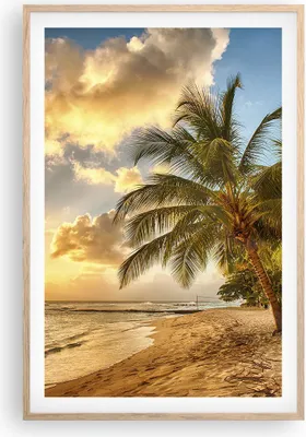 Produktbild von Gerahmtes Poster - Rahmen in heller Eiche - Strand Meer Palme - 61x91,5 cm - Wand Bild - Wanddeko - Wandbilder - Wandposter - Bilderrahmen - Bilder - Kunstdruck - Wandbild - P2NPA61x91-3606