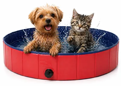 Immagine prodotto di Piscina per cani, rimovibile, dimensioni 80 x 20 cm, adatta a cani e altri animali domestici