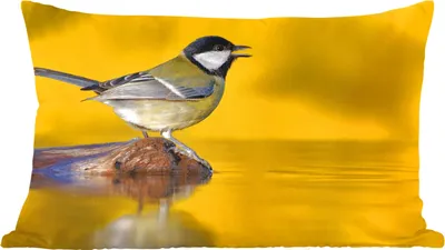 Produktbild von MuchoWow® Zierkissen Sofakissen Wohnzimmer Dekokissen 50x30 cm Kohlmeise - Vogel - Wasser - Wohnzimmerdekoration - Polster mit Photo