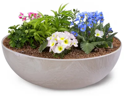 Produktbild von Runde bauchige 25 cm Pflanzschale für draussen, sand marmoriert
