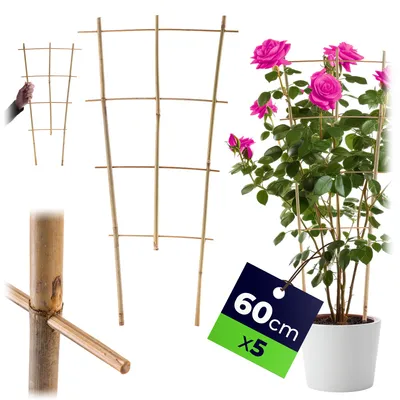 Zdjęcie produktu dla KADAX Drabinka Bambusowa Pergola Podpora 60 cm 5 szt