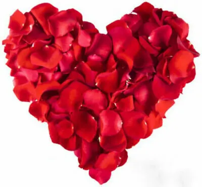 Produktbild von 1000Stk Rot Rosenblätter Blütenblätter Hochzeit Streudeko Rosenblüten Party