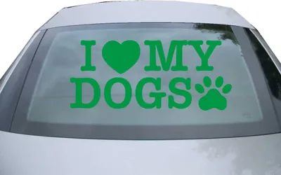 Produktbild von Indigos UG - Aufkleber Heckscheibe & Motorklappe DE2335 - grün - 600x285 mm - I love my dogs - Auto Scheiben Fenster Heckklappe Tuning Racing JDM - Die cut