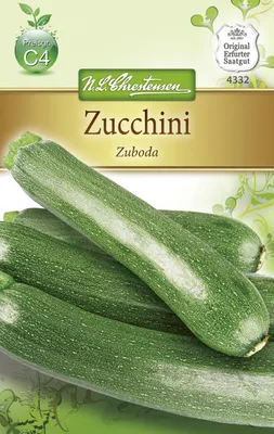 Produktbild von Zucchini Zuboda | Zucchinisamen von N.L. Chrestensen