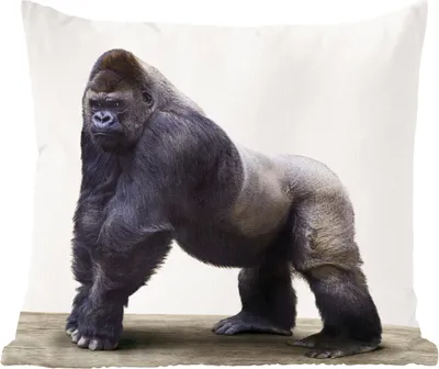 Produktbild von MuchoWow® Zierkissen Sofakissen Wohnzimmer Dekokissen 40x40 cm Gorilla - Tiere - Jungen - Mädchen - Kinder - Foto Kissen - Schlafzimmer Dekoration