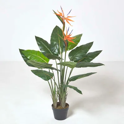 Obrázek produktu pro HOMESCAPES Umělá rostlina Strelitzia Reginae, rajský pták s květy, 120 cm
