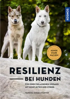 Image de Resilienz bei Hunden