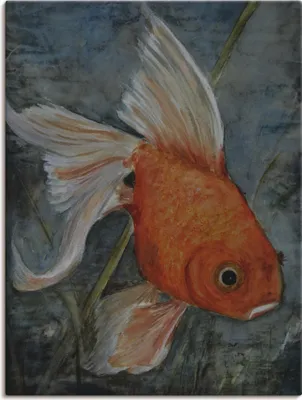 Produktbild von ARTland Leinwandbild Feng Shui - Goldfisch Größe: 30x40 cm