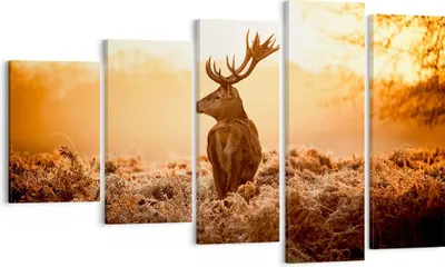 Produktbild von Bild auf Leinwand - Leinwandbild - Hirsch Natur Feld - 100x60cm - Wand Bild - Wanddeko - Wandbilder - Leinwanddruck - Bilder - Kunstdruck - Wanddekoration - Leinwand bilder - Wandkunst - EG100x60-3632