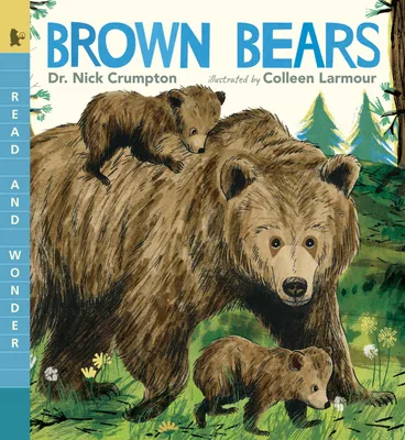 Produktbild von Brown Bears