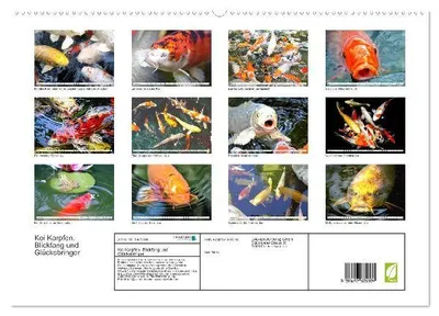 Produktbild von Koi Karpfen. Blickfang und Glücksbringer (hochwertiger Premium Wandkalender 2026 DIN A2 quer), Kunstdruck in Hochglanz