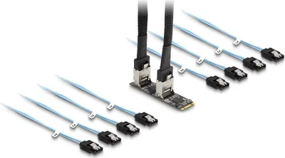 Produktbild von DELOCK Konverter M.2 2280 Key B+M Stecker zu 8 x SATA
