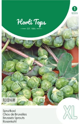 Produktbild von Samen - Rosenkohl  ´ROODNERF´