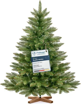 Image de FairyTrees Sapin de Noël Artificiel 120cm NORDMANN | Arbre de Noël avec Support en Bois | Sapin avec Tronc Vert | EU
