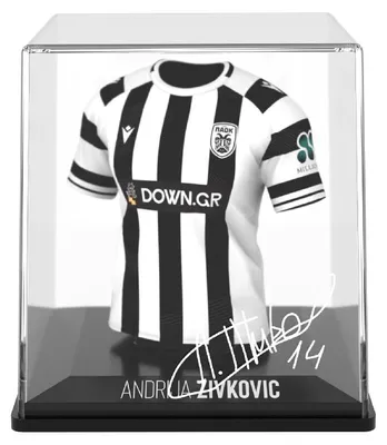 Productafbeelding van MyJersey - PAOK Thessaloniki Thuisshirt 2025/26, Andrija Zivkovic