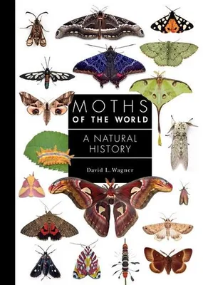 Obrázek produktu pro Moths of the World