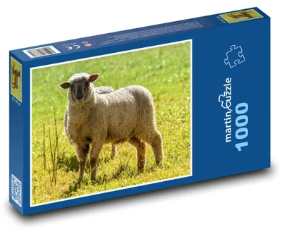 Obrázok produktu pre Puzzle 1000 Ovce na zelenej lúke - martinpuzzle