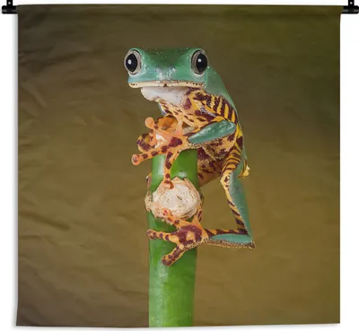Produktbild von MuchoWow® Wandteppich Wandbehang Frosch auf grüner Pflanze, Nahaufnahme 120x120 cm Tapisserie Dekoration Wandtuch - Modern - Baumwollgewebe