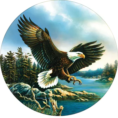 Produktbild von SunsOut Puzzle Adler-Landung - 500 Teile Puzzle