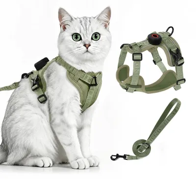 Produktbild von Katzengeschirr mit Leine, ausbruchsicher, AirTag Halterung, Grün, Größe M