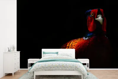 Produktbild von MuchoWow® Fototapete für Wohnzimmer oder Schlafzimmer Wandtapete Vinyl Motivtapete Fasan - Schwarz - Vogel - 330x220 cm - Fototapeten