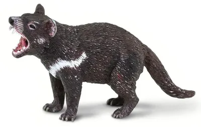 Produktbild von Safari Ltd Tasmanian Devil Black One Size