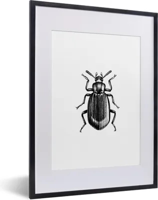 Produktbild von MuchoWow® Gerahmtes Poster Käfer - Tiere - Vintage 30x40 cm - Poster mit Schwarzem Bilderrahmen Wandposter Rahmen Foto Bilder - Wandposter Schlafzimmer