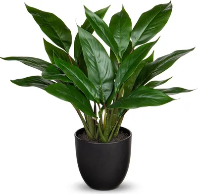 Obrázok produktu pre Umelá rastlina Calathea 43cm zelená v plastovom kvetináči