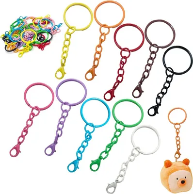 Produktbild von Schlüsselanhänger Ringe mit Kette Karabinerverschluss 100 Stück,Schlüsselringe Metall Bunt,Schlüsselringe 25mm Schlüsselanhänger DIY Schlüsselanhänger zum Basteln Schlüssel Ornamente