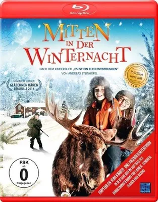 Produktbild von Mitten in der Winternacht