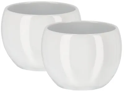 Two white ceramic plant pots.