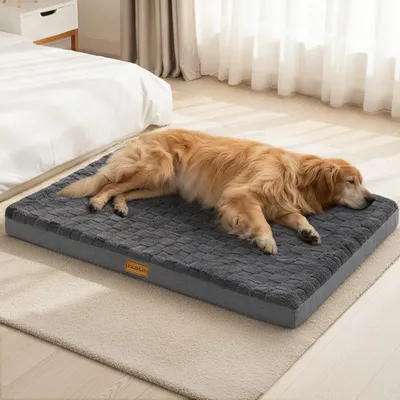 Produktbild von Orthopädisches Hundebett mit waschbarem Bezug 48 x 76 cm