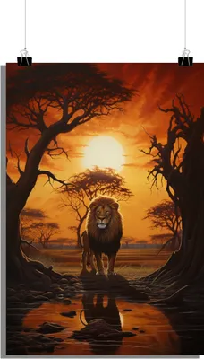 Produktbild von Tierposter - Löwenposter - Sonnenuntergang Poster - Naturposter - 61x91cm - Perfekt zum Einrahmen