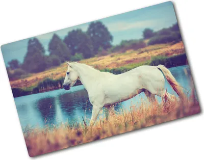 Produktbild von Tulup Glas Herdabdeckplatte - 80x52 cm - Glaskeramikkochfeld-Abdeckung Spritzschutz Glasabdeckplatte - Einteilig - Tiere - Schimmel See - Weiß