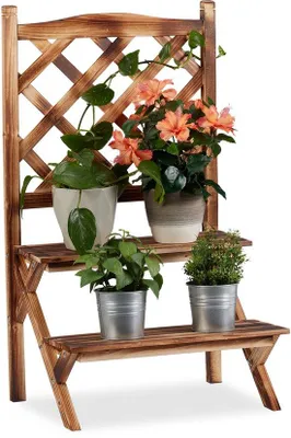 Immagine prodotto di Scala per piante Scala per piante con supporto per arrampicata Scaffale per piante a 2 livelli Scaffale per fiori in piedi Legno HBD 89x51x40 cm Gevlammt Scala per piante