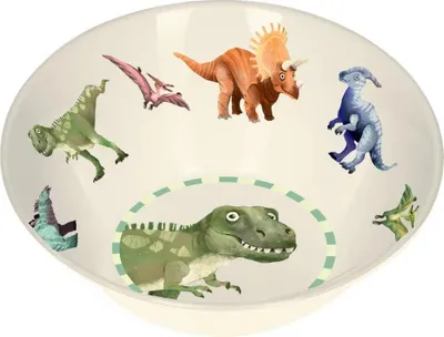 Produktbild von Coppenrath Verlag GmbH & Co.KG Schale - Dino Friends 4
