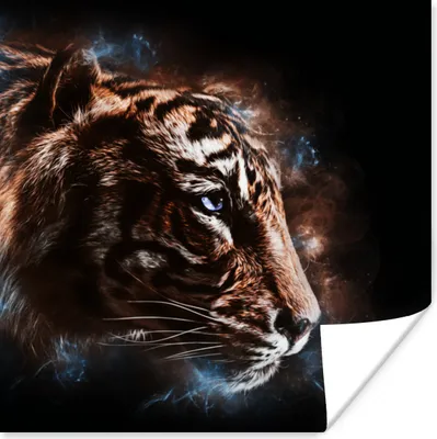 Produktbild von MuchoWow® Poster Tiger - Tiere - Orange 30x30 cm - Wandposter - Printing