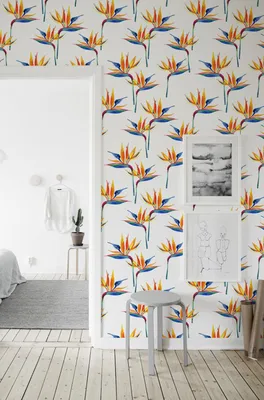 Produktbild von Coloray Fototapete 104x70 cm Latextapete Magicstick - Bird Paradise Light.
