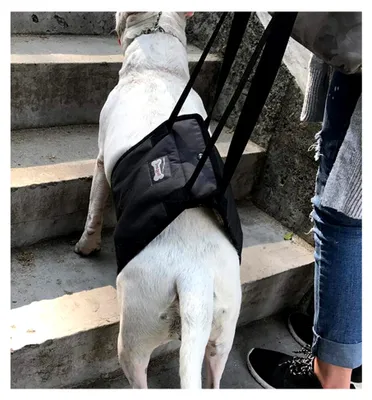 Produktbild von Hundelift Geschirr Tragehilfe für Hunde mit Verletzungen und Arthritis