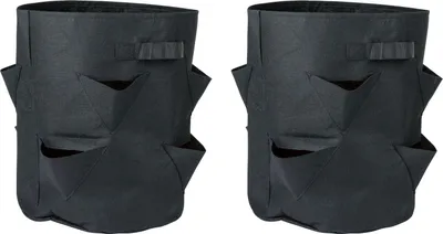 Produktbild von PARKSIDE® Erdbeere-Pflanzsack, 2er Set