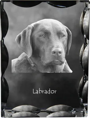 Obrázek produktu pro Art-Dog Fotorámeček – Labradorský retrívr