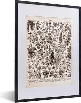 Produktbild von MuchoWow® Gerahmtes Poster Blumen - Pflanzen - Schwarz - Weiß 30x40 cm - Poster mit Schwarzem Bilderrahmen Wandposter Rahmen Foto Bilder - Wandposter Schlafzimmer