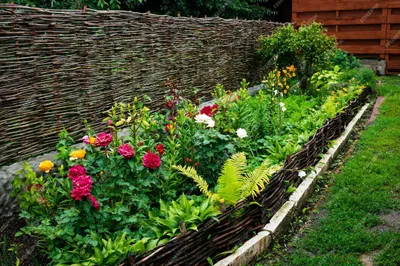 Produktbild von Beeteinfassung Weide - Steckzaun aus verflochtenen Weidenzweigen 120 cm 20 cm 1 Stück